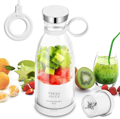Portable USB rechargeable mini fruit blender 350ml